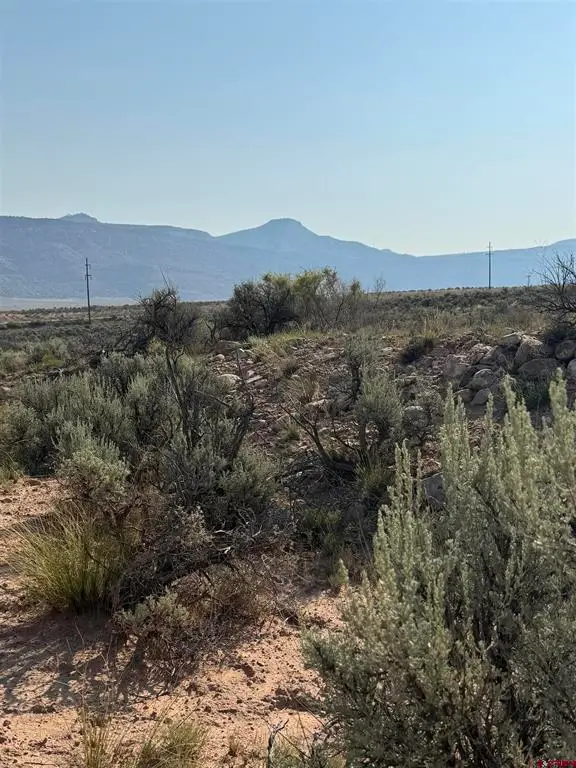 TBD Hwy. 90 Highway, Bedrock, CO 81411 - #1