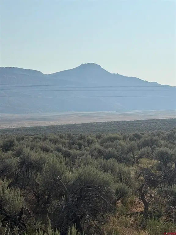 TBD Hwy. 90 Highway, Bedrock, CO 81411 - #2