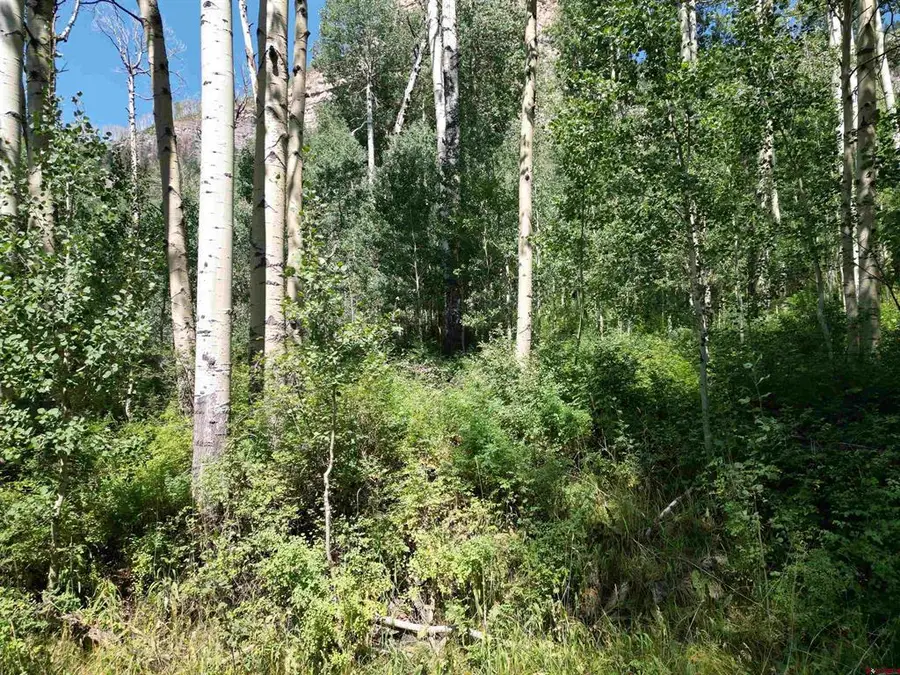 718 Hermosa Cliffs Road, Durango, CO 81303 - #2