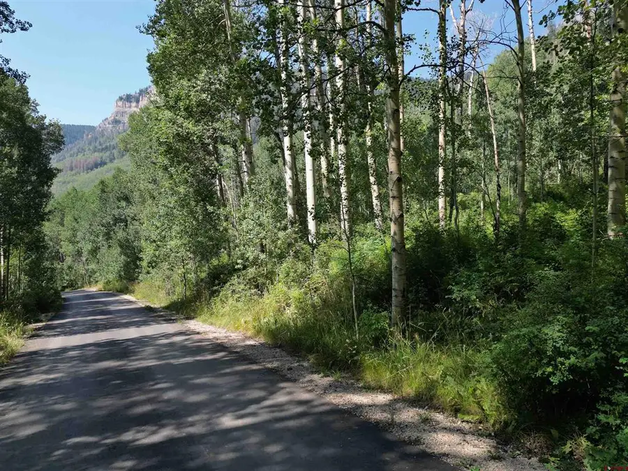 718 Hermosa Cliffs Road, Durango, CO 81303 - #3