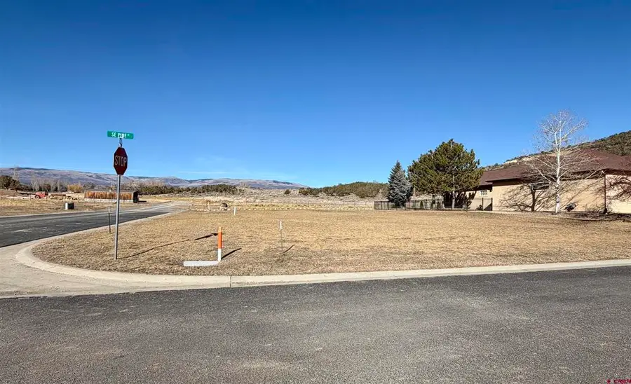 505 SE Pine Street, Cedaredge, CO 81413 - #3