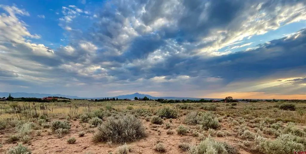 TBD Lot 1 Road 26.4, Dolores, CO 81323 - #1