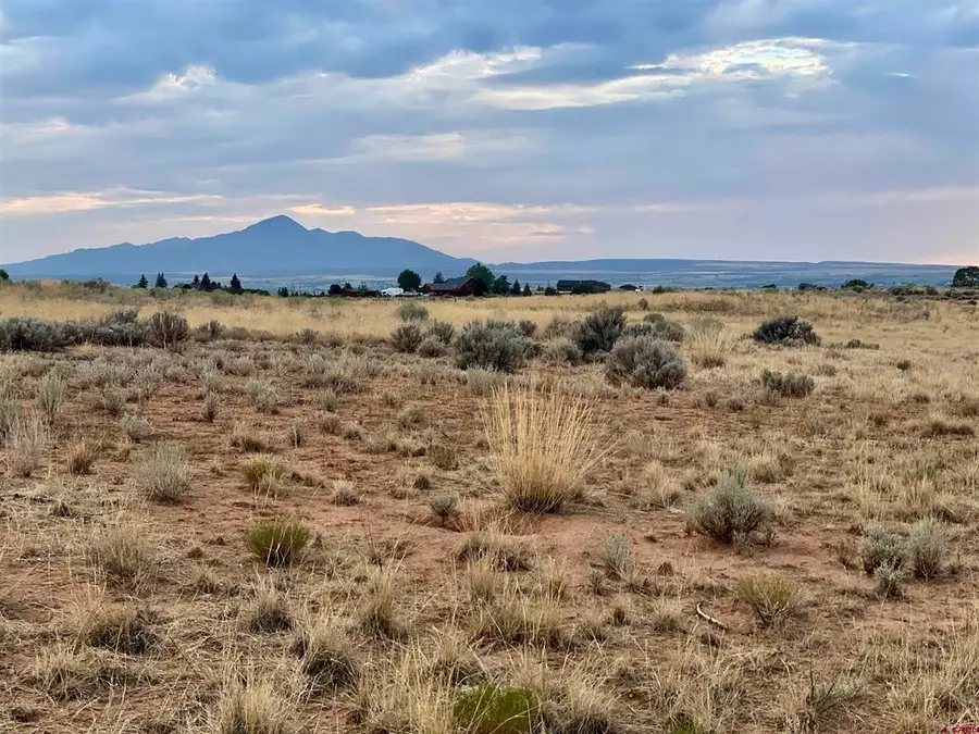 TBD Lot 1 Road 26.4, Dolores, CO 81323 - #3