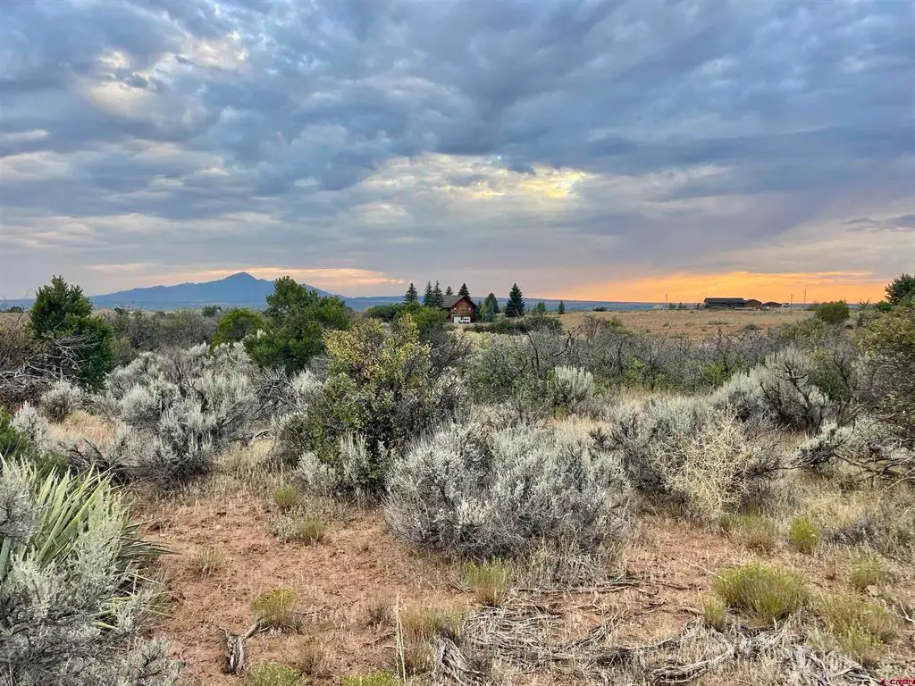 TBD Lot 12 Road 26.4, Dolores, CO 81323 - #1