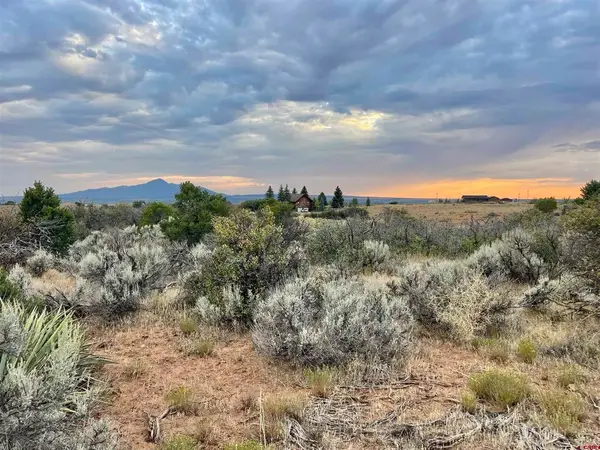 TBD Lot 12 Road 26.4, Dolores, CO 81323