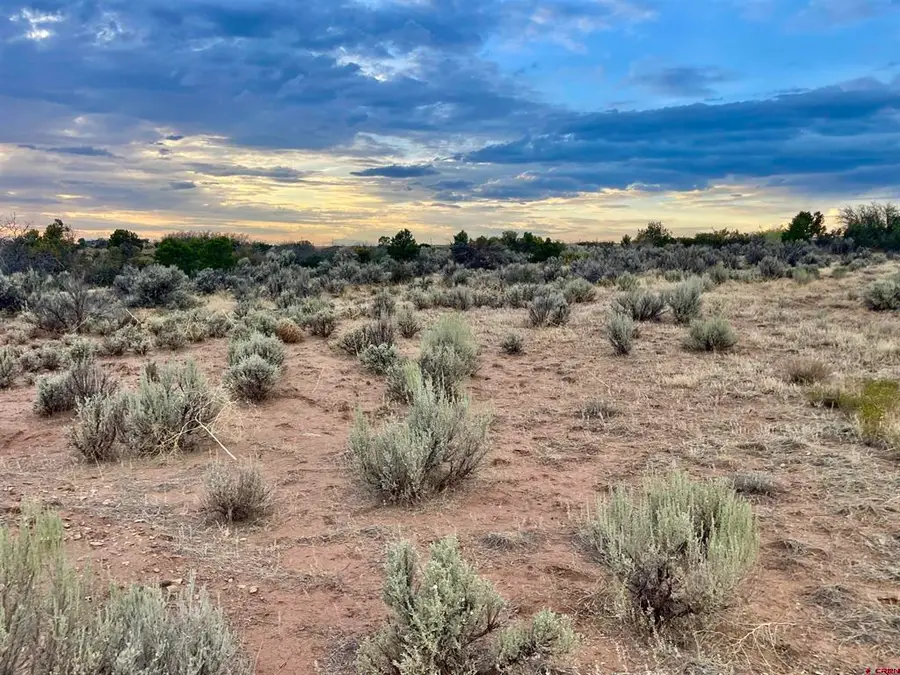TBD Lot 12 Road 26.4, Dolores, CO 81323 - #2