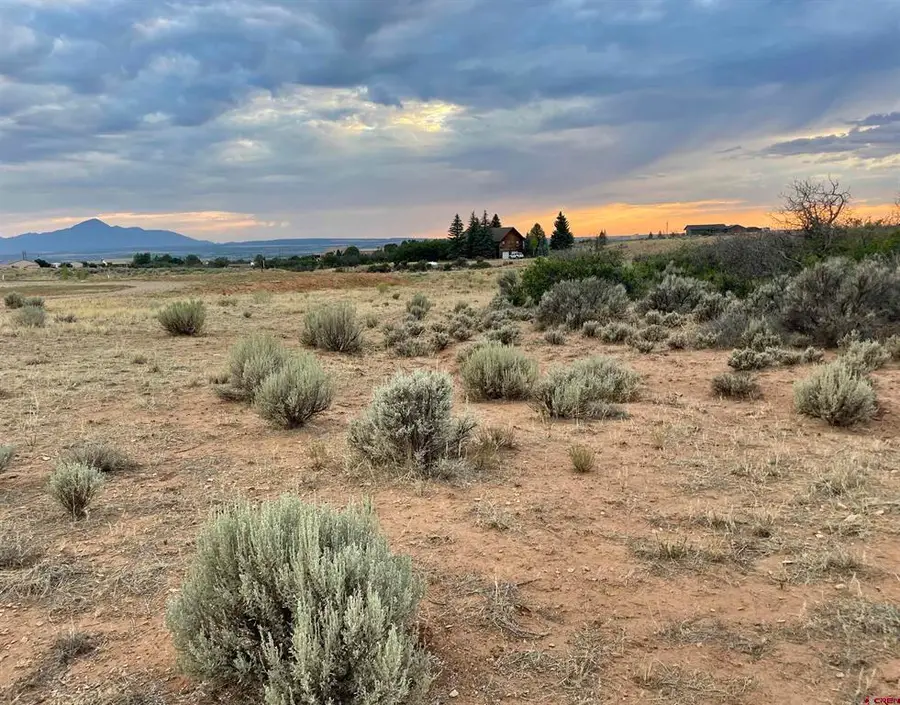 TBD Lot 12 Road 26.4, Dolores, CO 81323 - #3