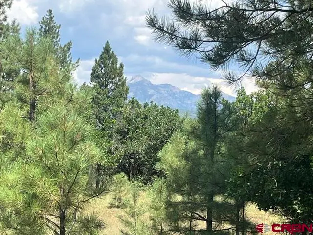 X County Road 600 B, Pagosa Springs, CO 81147 - #1