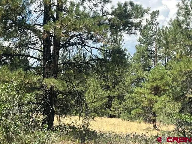 X County Road 600 B, Pagosa Springs, CO 81147 - #2