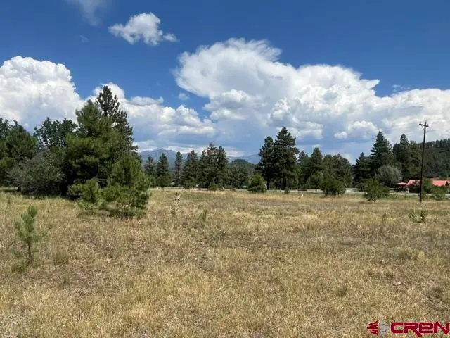 X County Road 600 B, Pagosa Springs, CO 81147 - #3