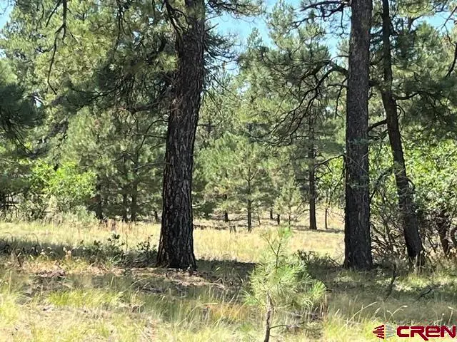 X County Road 600 A, Pagosa Springs, CO 81147 - #2