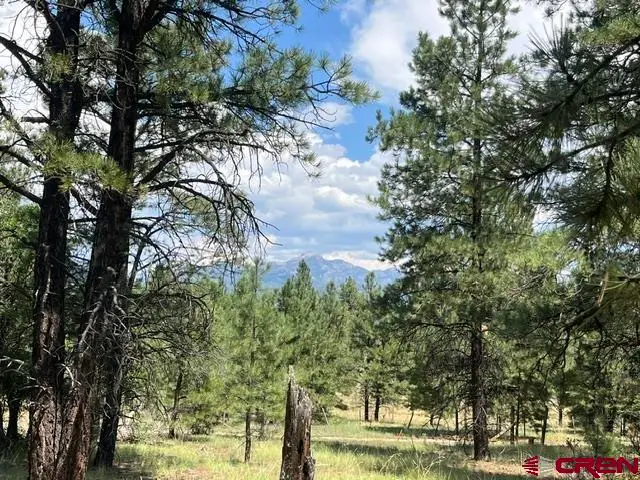 X County Road 600 A, Pagosa Springs, CO 81147 - #3