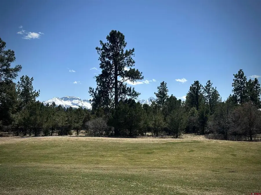TBD V314 Marmot Drive, Ridgway, CO 81432 - #2