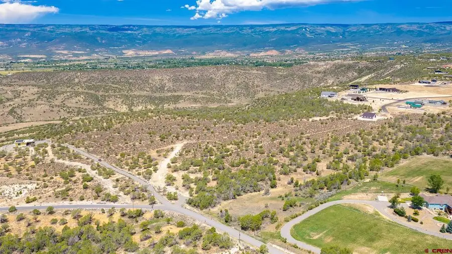15369 2525 Road, Cedaredge, CO 81413 - #2