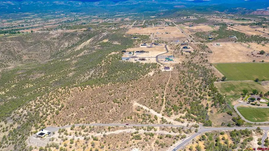 15369 2525 Road, Cedaredge, CO 81413 - #3