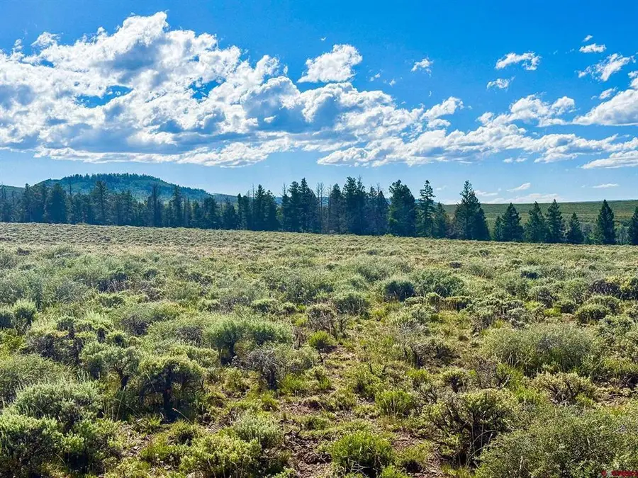 TBD County Road 25 Road, Sapinero, CO 81243 - #3