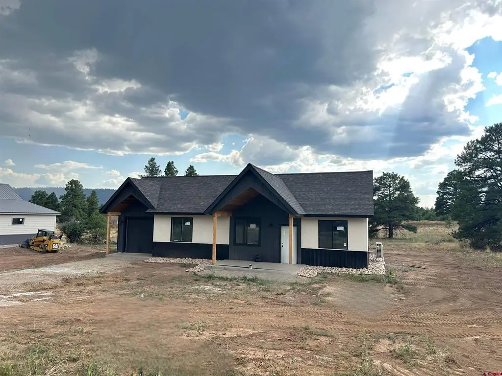 115 Domicile Circle, Pagosa Springs, CO 81147 - #1