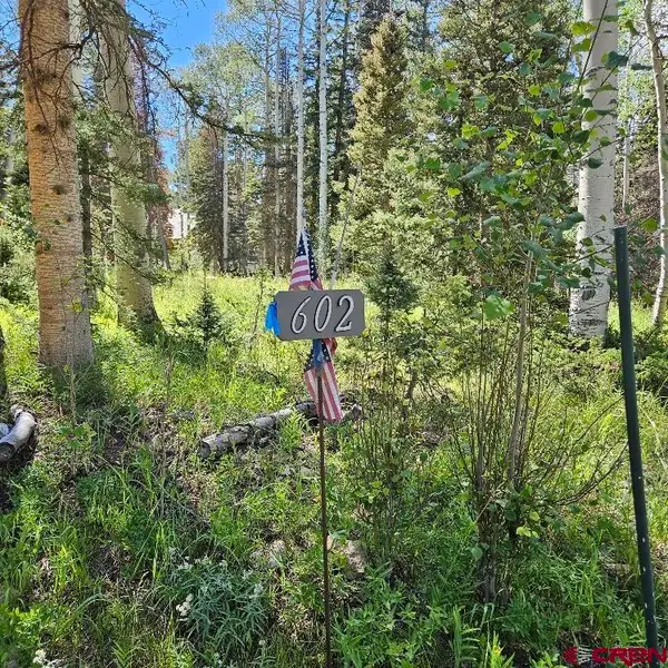 602 Snowshoe Lane, Cimarron, CO 81220