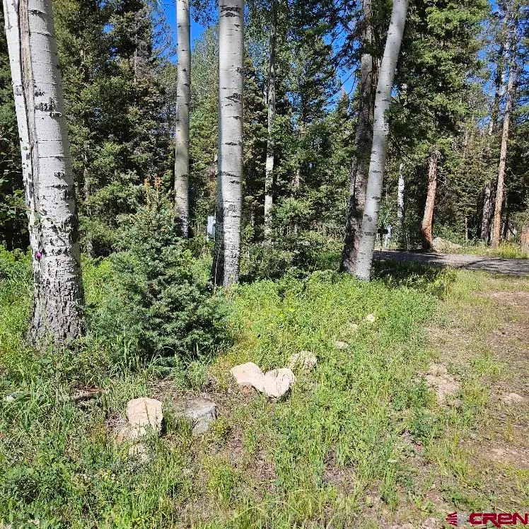 602 Snowshoe Lane, Cimarron, CO 81220 - #2