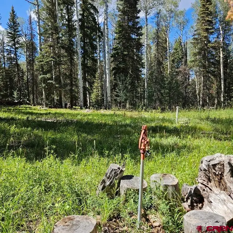 602 Snowshoe Lane, Cimarron, CO 81220 - #3