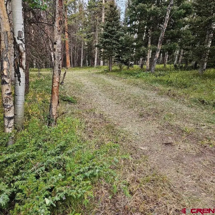 620 Balsam Road, Cimarron, CO 81220 - #1
