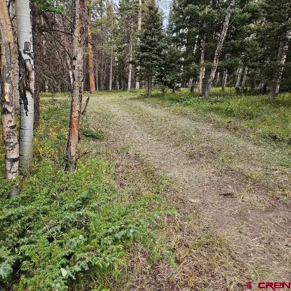 620 Balsam Road, Cimarron, CO 81220