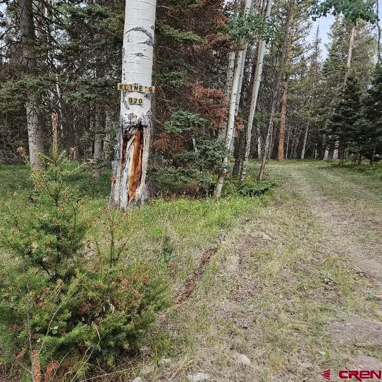 620 Balsam Road, Cimarron, CO 81220 - #2