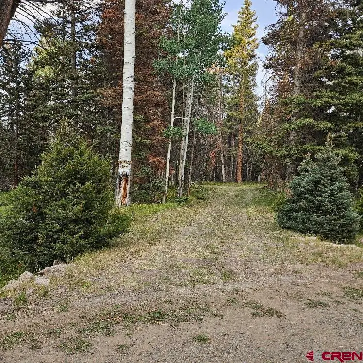 620 Balsam Road, Cimarron, CO 81220 - #3