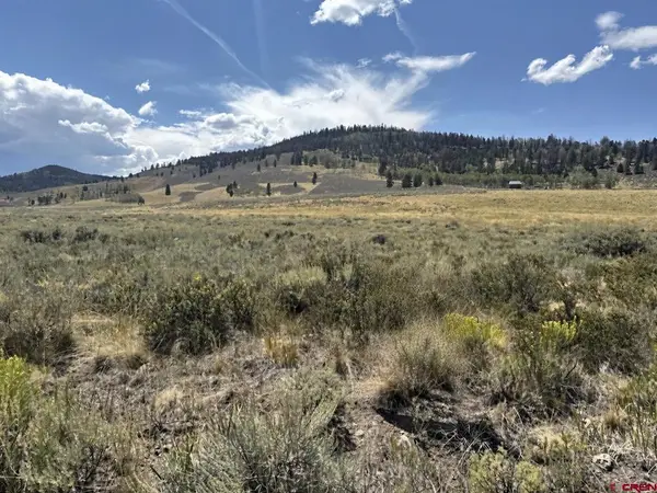 100 Monarch Road, Powderhorn, CO 81243