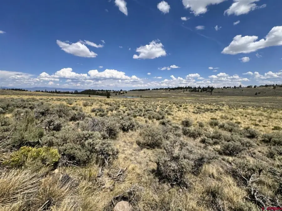 892 Uncompahgre Drive, Powderhorn, CO 81243 - #3