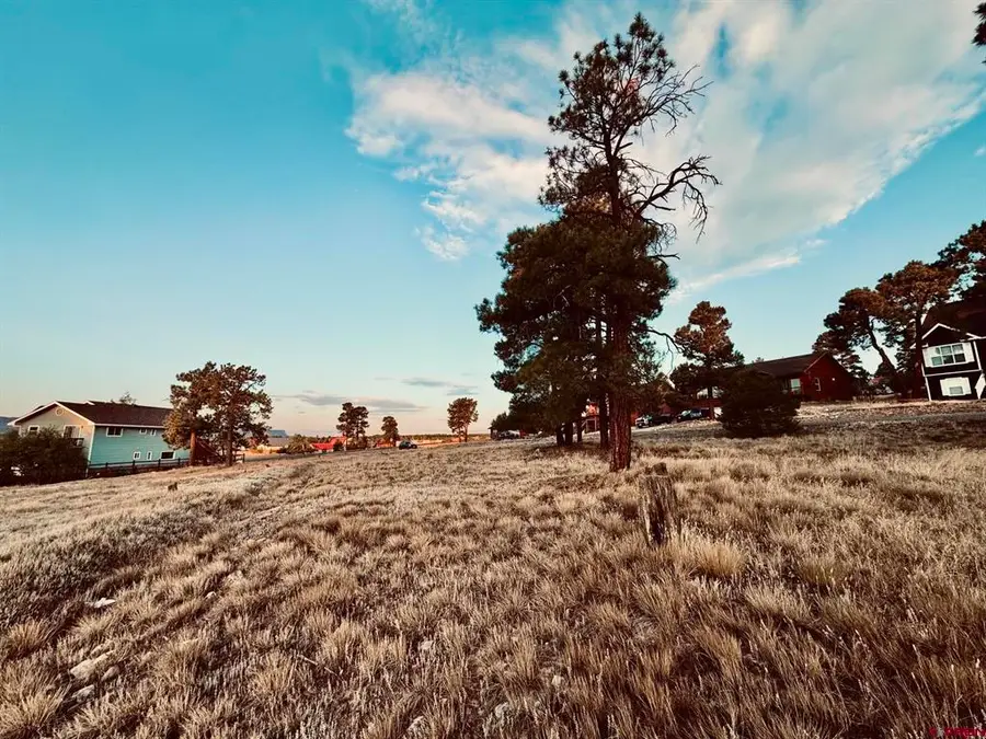 57 Putter Court, Pagosa Springs, CO 81147 - #2