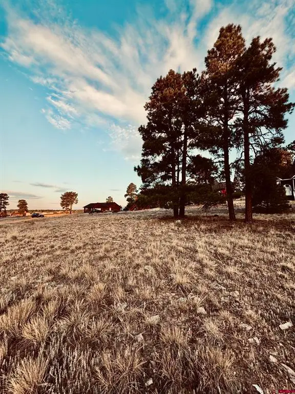 57 Putter Court, Pagosa Springs, CO 81147 - #3