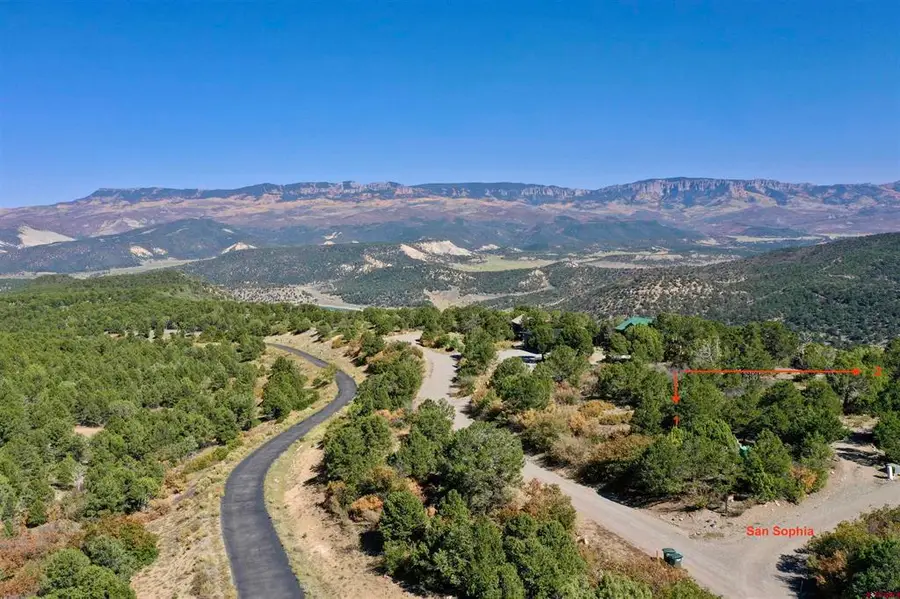 171 San Sophia Lane, Ridgway, CO 81432 - #3
