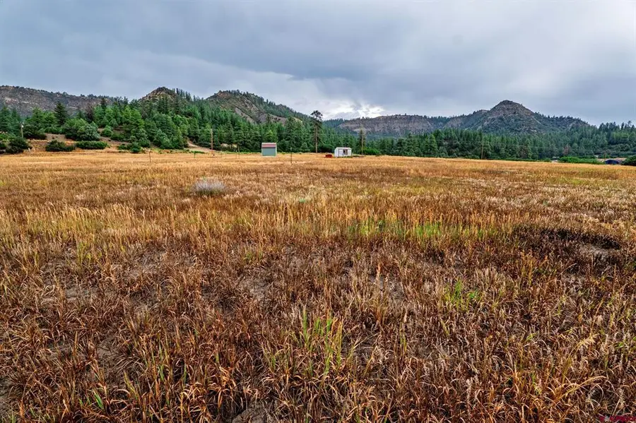 1822B County Rd 335, Pagosa Springs, CO 81147 - #2