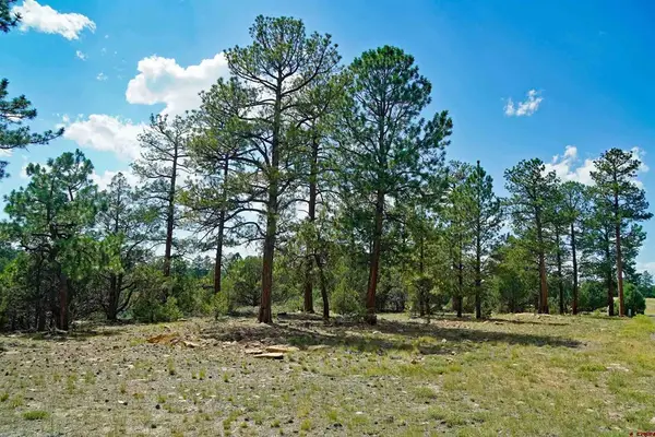 TBD Hummingbird Trail, Ridgway, CO 81432