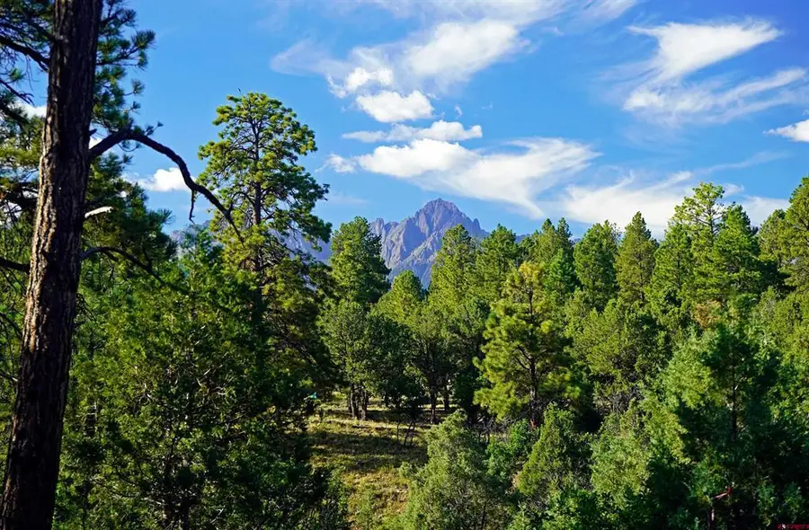 TBD Hummingbird Trail, Ridgway, CO 81432 - #2