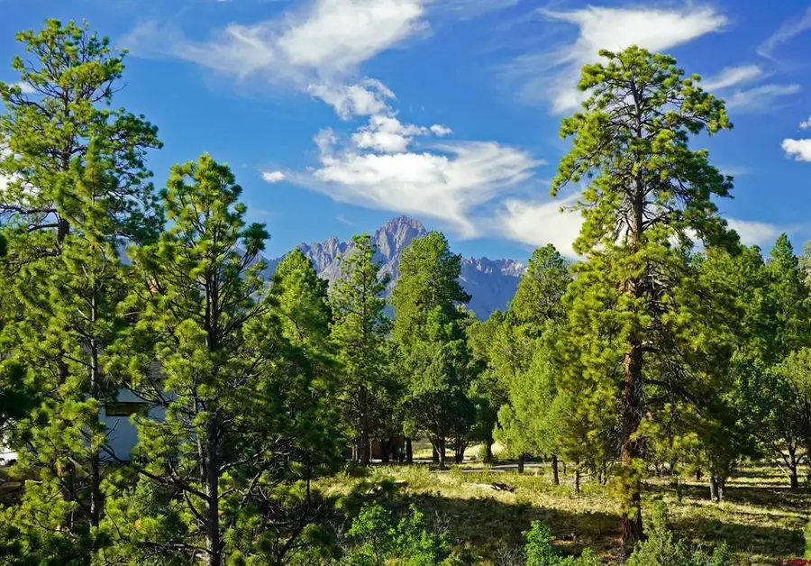 TBD Hummingbird Trail, Ridgway, CO 81432 - #3