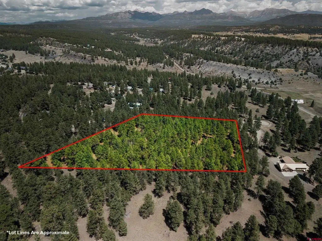 X Bienvenido Circle, Pagosa Springs, CO 81147 - #1