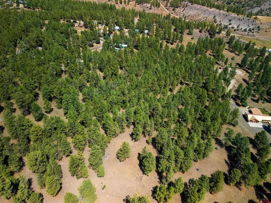 X Bienvenido Circle, Pagosa Springs, CO 81147 - #3