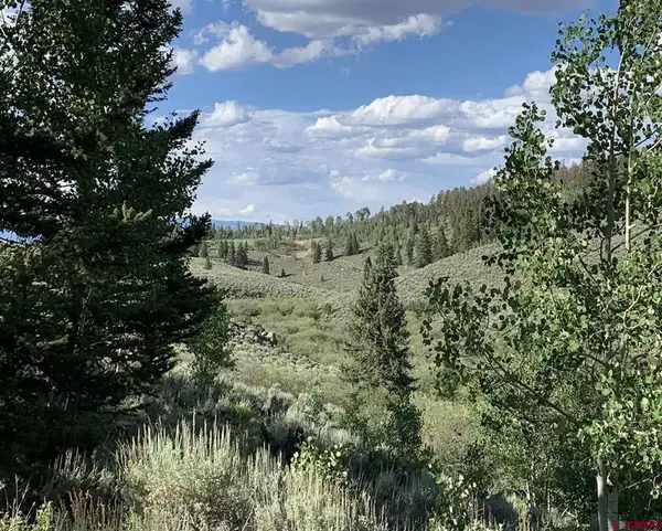 166 & 218 Blue Mesa Drive, Powderhorn, CO 81243