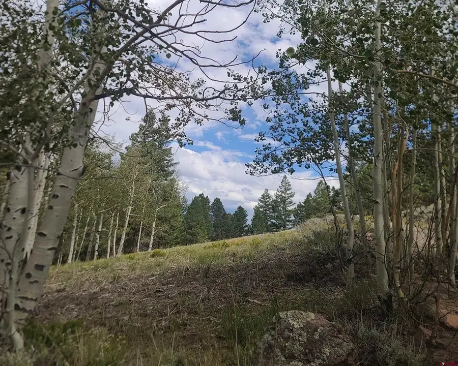 166 & 218 Blue Mesa Drive, Powderhorn, CO 81243 - #2