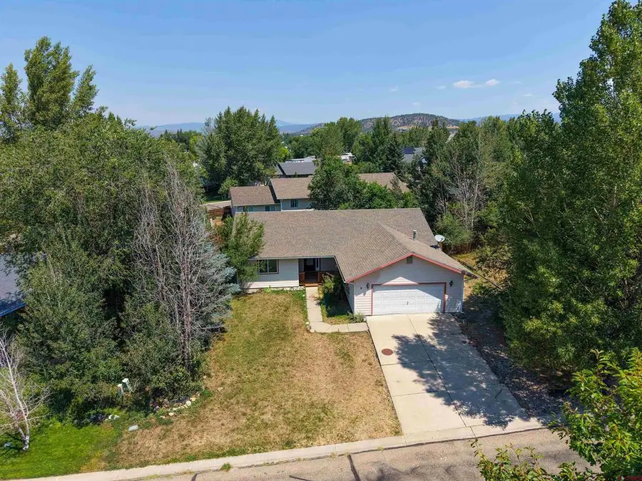 317 Meadows Circle, Bayfield, CO 81122 - #2