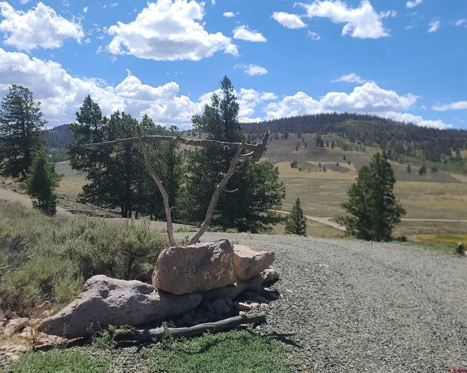 457 Castle Circle, Powderhorn, CO 81243 - #1