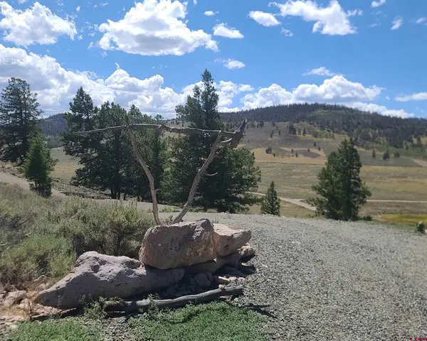 457 Castle Circle, Powderhorn, CO 81243