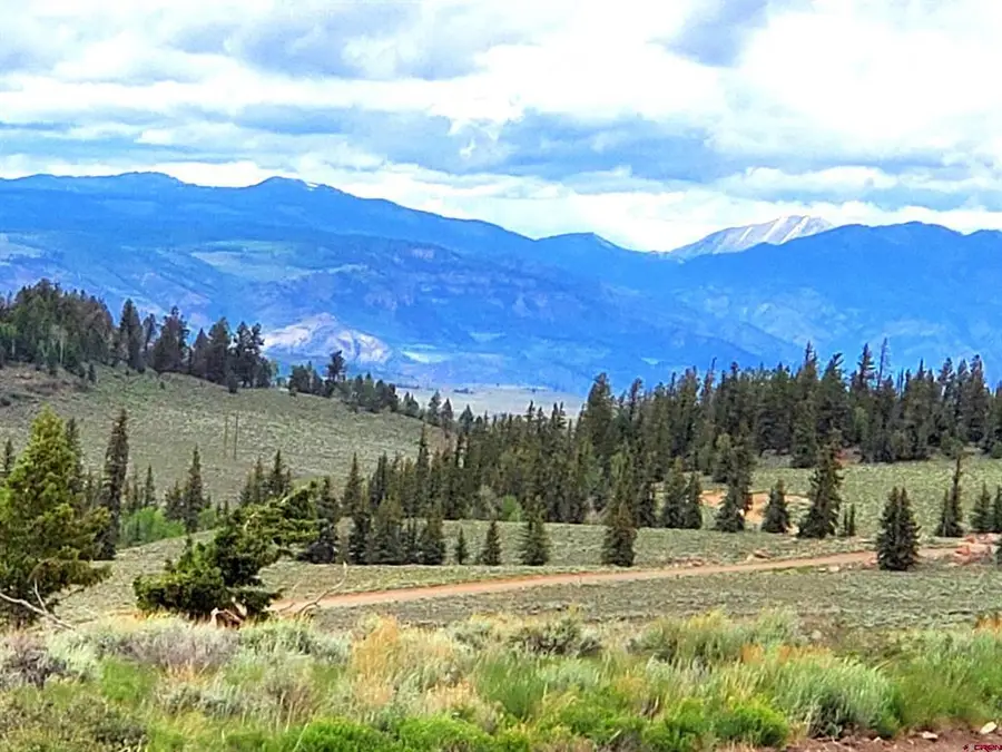 457 Castle Circle, Powderhorn, CO 81243 - #2