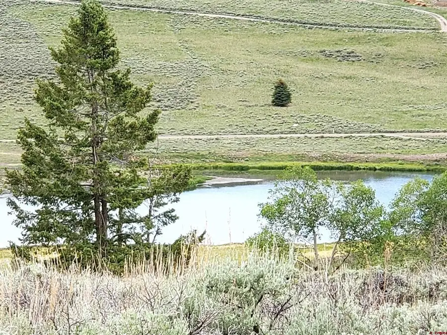 457 Castle Circle, Powderhorn, CO 81243 - #3