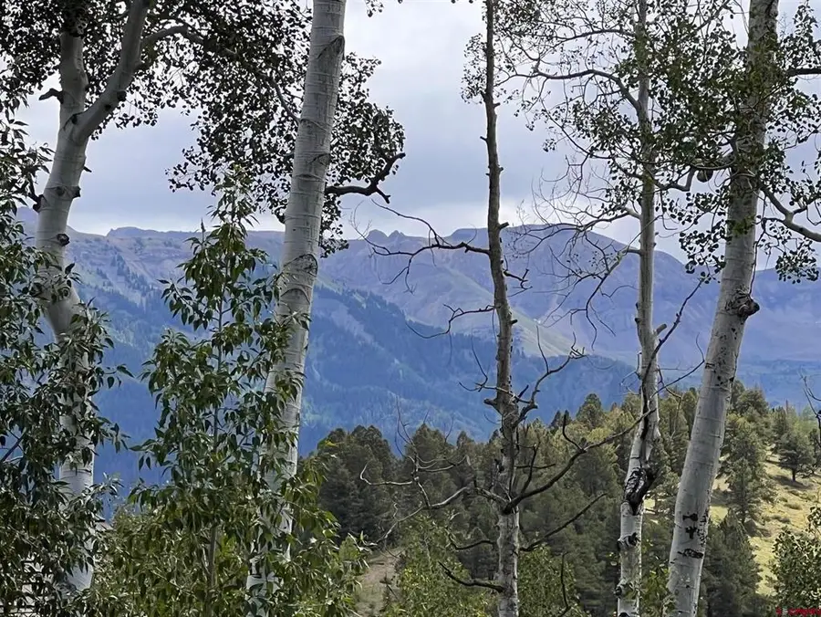 TBD 628J Birdie Drive, Telluride, CO 81435 - #3