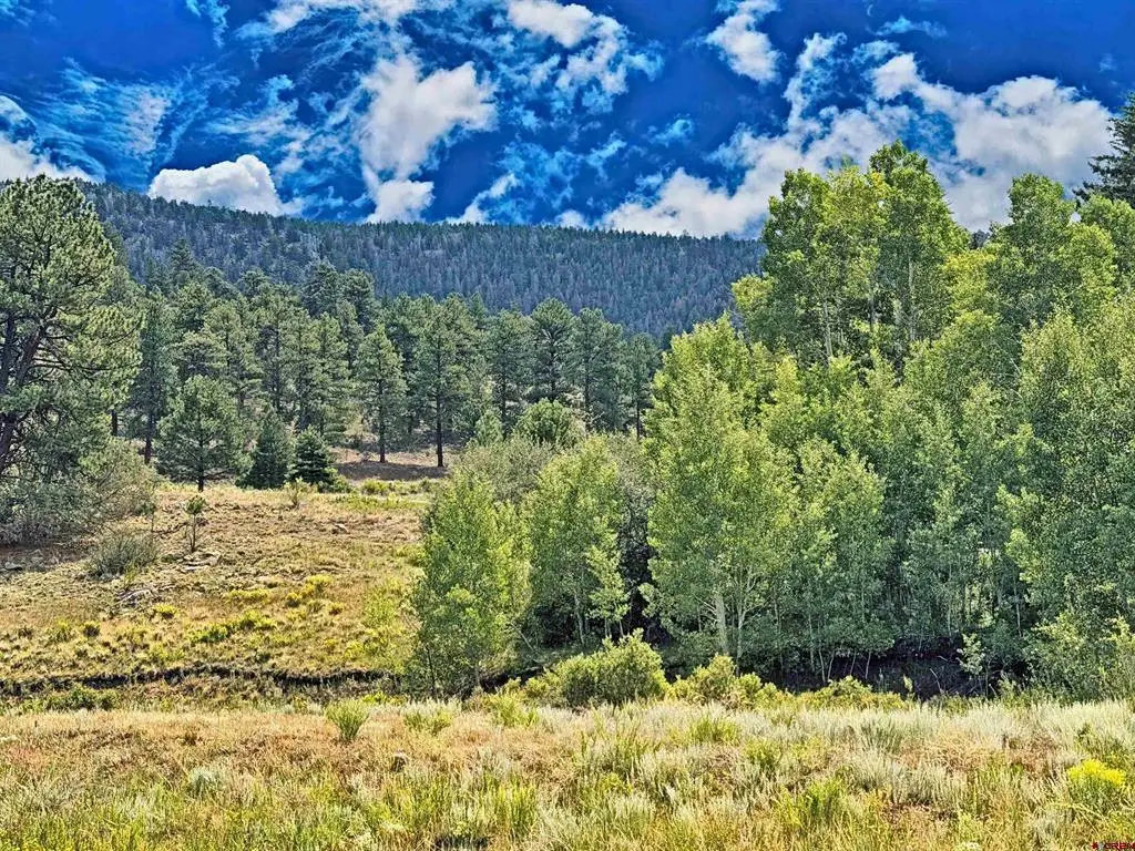 220 Escondida Drive, South Fork, CO 81154 - #1