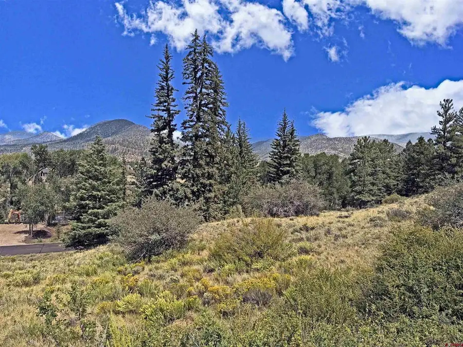 220 Escondida Drive, South Fork, CO 81154 - #3
