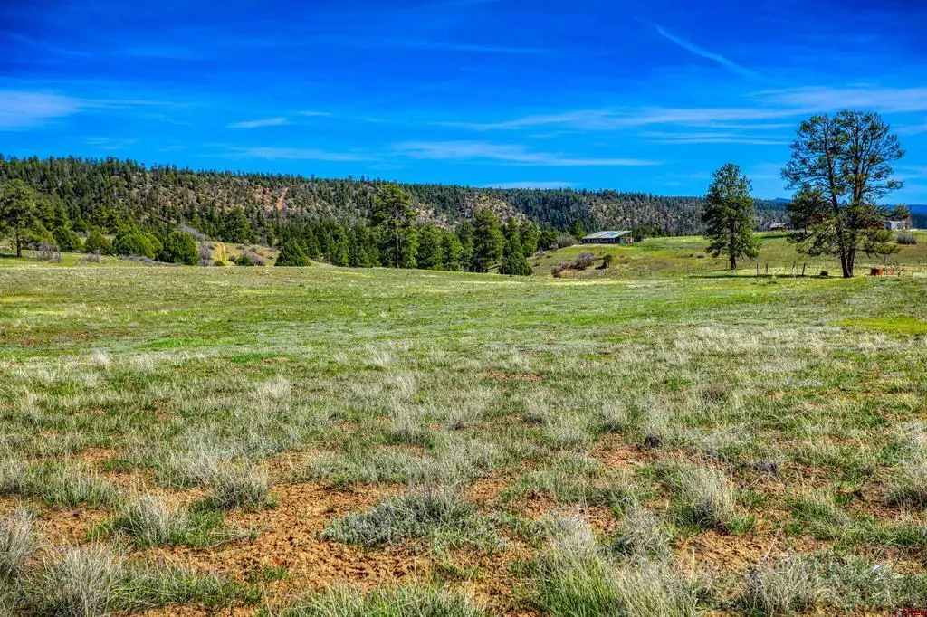 X County Rd 359, Pagosa Springs, CO 81147 - #1